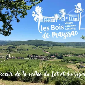 les-bois-de-prayssac.midi-pyreneeshotels.com/